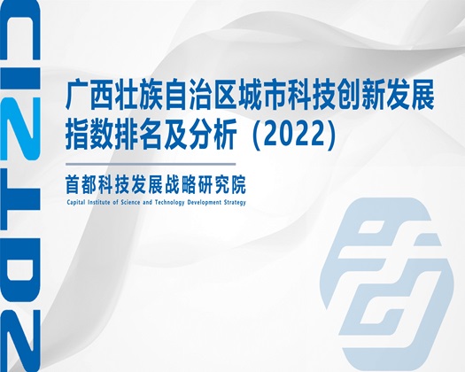 鸡吧操骚逼【成果发布】广西壮族自治区城市科技创新发展指数排名及分析（2022）